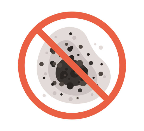 Best Mold Odor Removal Services  in Hummelstown, PA